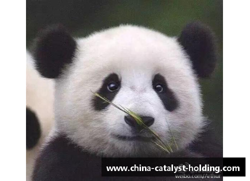 体育明星被大熊猫萌态吸引的视频引发全民热议