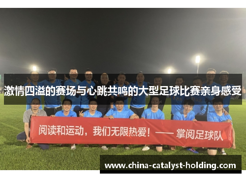 激情四溢的赛场与心跳共鸣的大型足球比赛亲身感受
