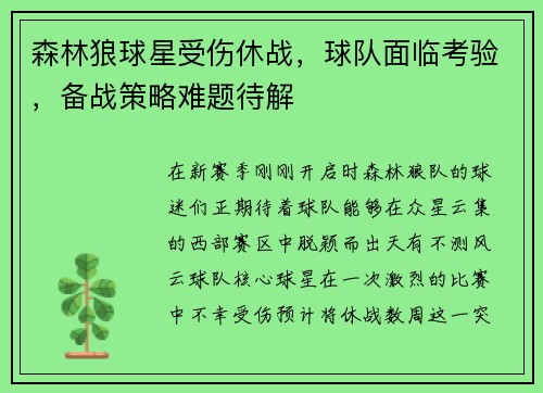 森林狼球星受伤休战，球队面临考验，备战策略难题待解