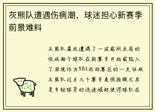 灰熊队遭遇伤病潮，球迷担心新赛季前景难料